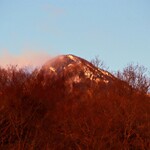 さかなどころ ともさき - 