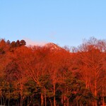 さかなどころ ともさき - 