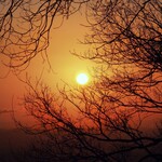 さかなどころ ともさき - 