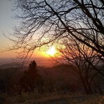 さかなどころ ともさき - 