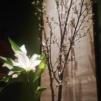 四川料理 龍の子 - 