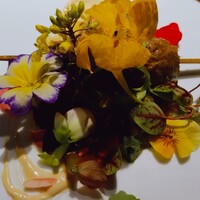 デンクシフロリ - 