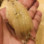 鮨 しゅん輔 - 宍道湖の白魚の真昆布〆