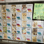 保護犬カフェ - 