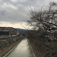 日本料理 研野 - 