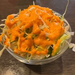 インド・ネパール料理 ヒルビュウ - サラダ