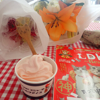 仙台ローズガーデン_1