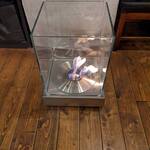 牛串・焼肉・ホルモン 麻布十番 10 - 暖炉