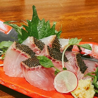 Please enjoy our extremely fresh sashimi.