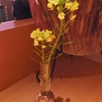 センティウ - 菜の花