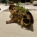 カンテサンス - 