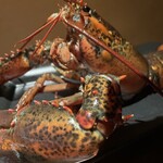 やさいや 鉄板焼野菜 - 