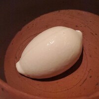 カンテサンス - 