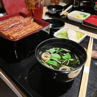 うなぎ 目白ぞろ芽 - 