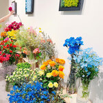 FLOWER WALL MONE - 