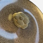 ベージュ アラン・デュカス 東京 - 