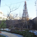 草庵 鍋島 - 奥庭