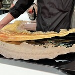 TOMONO - フカヒレ