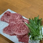 Hidagyuugyuukushi Yajuju - 追い肉  A5飛騨牛