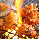 炭火焼ホルモン ぐう - プリップリな新鮮ホルモン！