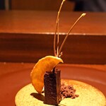 アカ - アマゾンカカオと生チョコ　リンゴのチップスとピスタチオを添えて