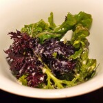 アカ - アホブランコ　ハーブ野菜と春の野菜と共に