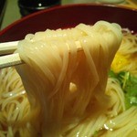 銀座 佐藤養助 - うどんアップ