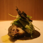 RISTORANTE IL NODO - 神奈川解禁 かず丸さんの黒アワビ 真鶴のハバノリ カツレツアップ