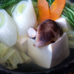 御飯屋  おはな - 豆腐もお野菜もとっても美味しかった。