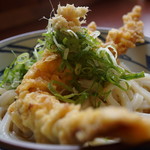 Marugame Seimen - ぶっかけ＋かしわ天