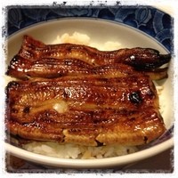 ぎんざ 神田川 - う〜などんどんど〜ん！(^_^)