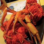俺の魚を食ってみろ!!  - ハナサキガニ2杯　本ズワイガニ2杯
