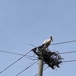 西村屋ホテル 招月庭 - 