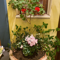 エトゥルスキ - 