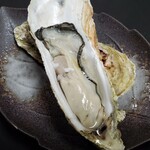 Kutsurogiya - 特大生牡蠣
