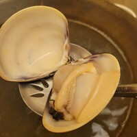 桑名蛤料理・蛤しゃぶしゃぶ 貝新 - 