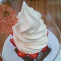 フィオレンティーナ - 