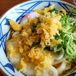 Marugame Seimen Obama Ten
