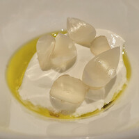 カンテサンス - 