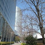 ラーメン二郎 - ここ桜が咲くんです！