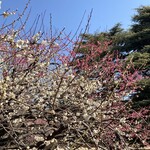 富の蔵  - 御苑帰りにまた来よう