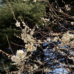 富の蔵  - 御苑帰りにまた来よう