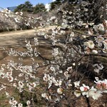 富の蔵  - 御苑帰りにまた来よう