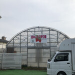 東京いちごカフェ - 