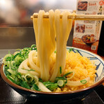 Marugame Seimen - かけうどん並