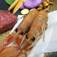 詩音名物　幻のアカザ海老