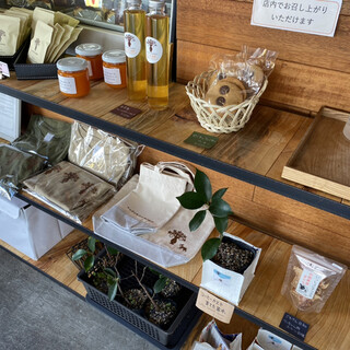 トックリキワタ珈琲店_2