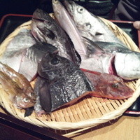 魚匠 銀平 心斎橋店 - 