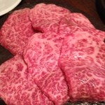 SATOブリアン - シンシン