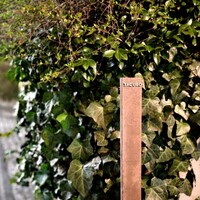 TACUBO - 